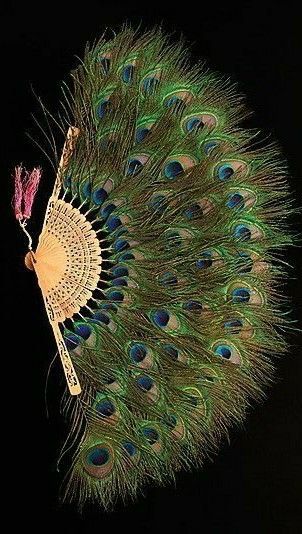 Peacock feather fan Peacock Feather Fan, Peacock Accessories, Peacock Crafts, Fan Image, African Inspired Decor, Fancy Fits, Vintage Fan, Antique Fans, Peacock Decor