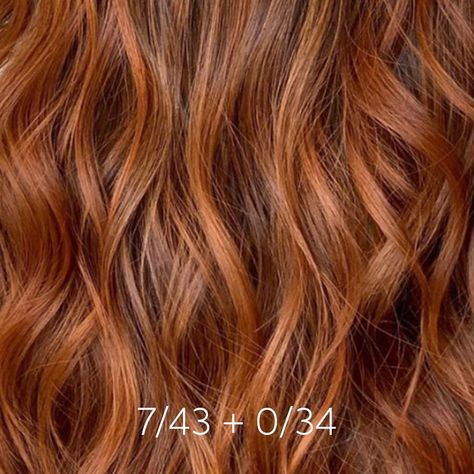 Wella Professionals on Instagram: “This fiery brown and #CopperSunsetHair by Wella Passionnista @lorenzo.huanambal is so pretty with its chocolate brown roots that fade into…” Level 6 Red Hair, Level 6 Red Hair Color, Red Hair Formulas, Brownish Red Hair, Roux Auburn, Dark Ginger Hair, Copper Brown Hair Color, Sunset Hair, Wella Hair Color