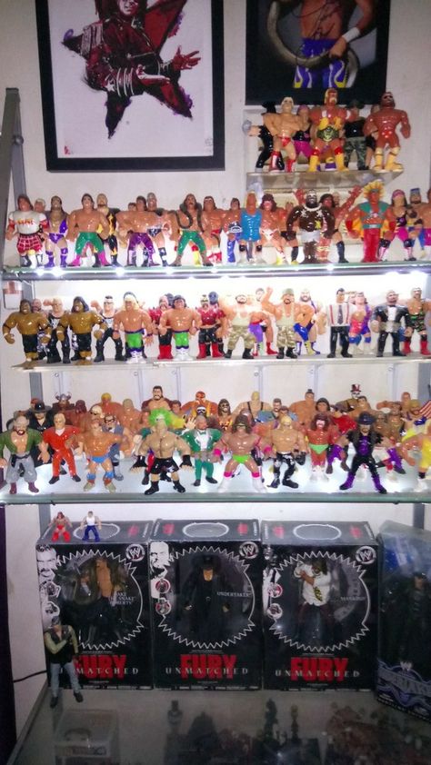 Wwf Hasbro, Toys