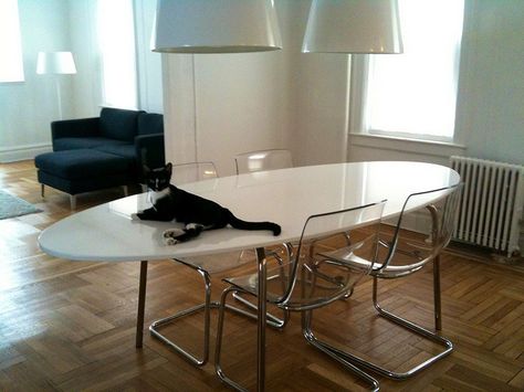 DIning Room - Ikea Gidea tble - Tobias chairs - black cat :-) Tobias Ikea, Ikea Tobias Chair, Ikea Tobias, Tobias Chair, Ikea Dining Table, Ikea Dining Room, Vibe Rooms, Ikea Table, 1st Apartment