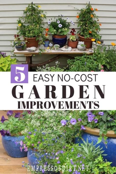 Backyard Landscape On A Budget, Unused Garden Space Ideas, Easiest Landscaping Ideas, Frugal Gardening Ideas Diy, Small Gardens On A Budget, Temporary Garden Ideas, Ideas To Decorate Your Garden, Budget Garden Makeover, Very Small Garden Ideas Backyards