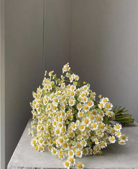 All Posts • Instagram Bunch Of Daisies, Selling On Amazon, Mini Sunflowers, White Chrysanthemum, Sunflowers And Daisies, Daisy Bouquet, Boquette Flowers, Flowers Ideas, Aesthetic Flowers