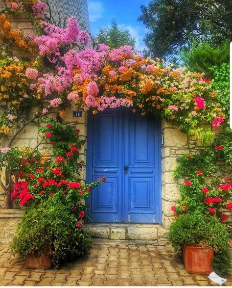 Flower Window, Classic Garden, Farmhouse Garden, Trending Pins, Beautiful Windows, Blue Door, Old Doors, French Farmhouse, Bohemian Design