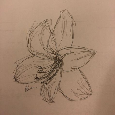 A messy sketch of an amaryllis Amaryllis Aesthetic, Amaryllis Drawing, Amaryllis Tattoo, Amaryllis Painting, 2022 Drawing, Sketch Practice, Amaryllis Flowers, Chefs Kiss, Flower Meanings