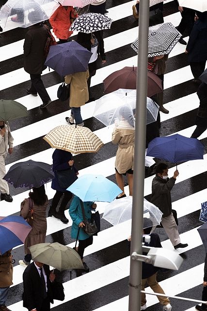 Rain: #YoshinoriMizutani #Rain @WebberNews #London #Exhibition #Gallery #Photography @Kippooooo People With Umbrellas, Space Gallery, Photo Competition, Photography Awards, Rain Photography, Artistic Photography, Black & White, Image Photography, Creative Inspiration