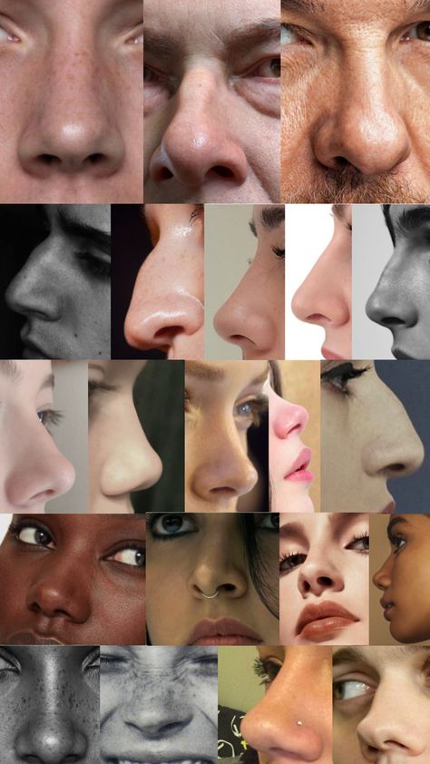 Reference material, real photos, noses Nose Angles Reference Photo, Nose Art Study, Nose Types Reference, Nose Art Reference Photo, Different Noses Reference, Drawing Black Noses, Different Nose Drawing, How To Draw Poc Nose, Noses Reference Photo