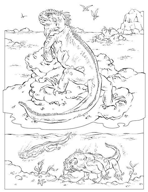 Select an animal below or download the full coloring book (44 MB). Just print and color. Have fun! Looking for more animals to color? Go to Animals (A to I). Marine Iguana, Green Iguana, Online Coloring Pages, Printable Coloring Book, Animal Books, Coloring Pages To Print, Arte Animal, Mandala Coloring Pages, Free Printable Coloring