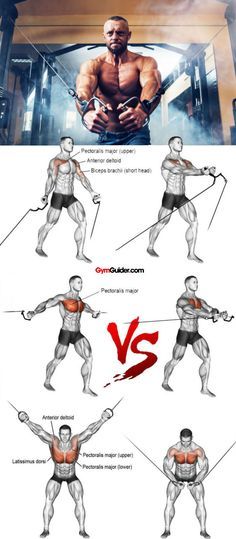 The comparison of ca  The comparison of cable machines to free weights has been a topic of discussion among fitness enthusiasts and exercise professionals alike. The two can improve muscular definition and strength while each has certain benefits that the other does not. The strength training equipment you use may come down to your personal preference and training goals. the best routine will use both machines and free weights for each muscle group. They both have their strengths and weaknesses. Cable Workouts, Cable Exercises, Cable Machine Workout, Weight Training Women, Chest Workout For Men, Workout Chest, Chest Day, Strength Training For Beginners, Cable Workout