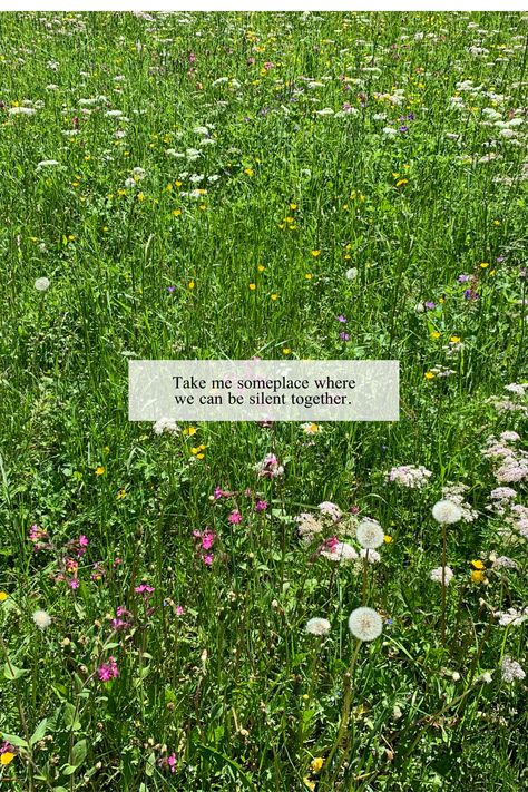 Wildflower Captions, Meadow Quotes, Switzerland Quote, Grass Quotes, Wildflowers Quote, Wildflower Quotes, Love Nature Quotes, Know Your Worth Quotes, Wild Flower Quotes