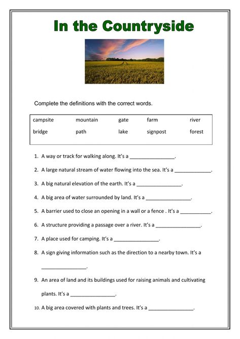 Text Structure Worksheets, Text Structure, Grade 4, Worksheet Template, Accounting