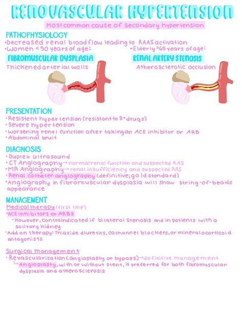 Study Biology, Nursing School Essential, Basic Anatomy And Physiology, Nurse Study Notes, Physician Assistant, Nursing School Survival, Nursing School Studying, Nursing School Tips, Medical Anatomy