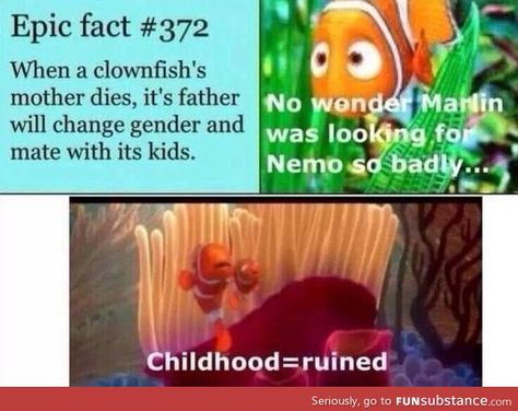 Childhood. Ruined. Lemme Smash, Epic Facts, Fun Facts Mind Blown, Llama Funny, Childhood Ruined, Right In The Childhood, Disney Theory, English Memes, Funny Disney Memes