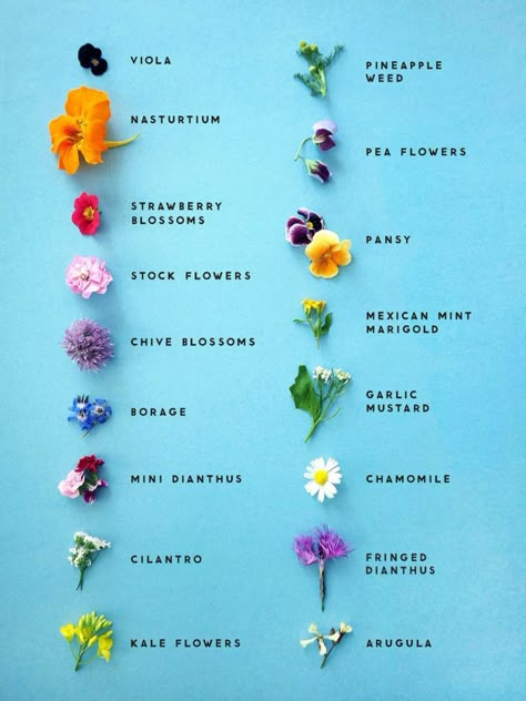 Retreat Recipes, Chive Blossom, Edible Flowers Recipes, Lucky Peach, Stock Flower, Seni Dan Kraf, Pea Flower, Flower Food, Pretty Decor