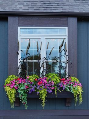 Window sill flower bed Large Window Boxes Ideas, Window Box Front Of House, Fake Flower Boxes Window, Window Planters Outdoor, Window Seal Plants, Spring Window Boxes, Summer Window Boxes, Paved Garden, Window Sill Plants