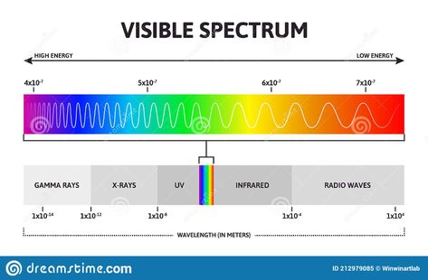 Visible Color Spectrum. Sunlight Wavelength and Increasing Frequency Vector Infographic Illustration. Visible Spectrum Stock Vector - Illustration of light, increasing: 212979085 Wavelength And Frequency, Visible Light Spectrum, Visible Spectrum, Vector Infographic, Infographic Illustration, Radio Wave, Color Spectrum, Visible Light, Low Energy