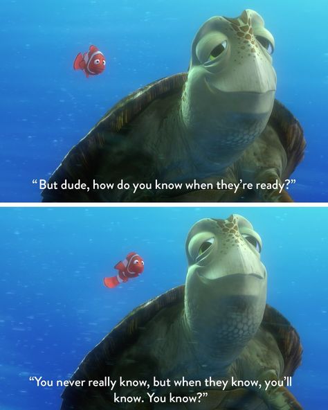 Finding Nemo Crush, Crush Finding Nemo, Finding Nemo Quotes, Nemo Quotes, Pixar Quotes, Magic Quotes, Family Films, Cartoon Quotes, Finding Nemo