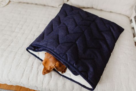 The cutest dog products - Denim Pet Sleeping Bag Dog Sleeping Bag, Preppy Dog, Round Dog Bed, Dog Cuddles, Kelly In The City, 20 Percent Off, Dog Sleeping, Family Blanket, The Company Store