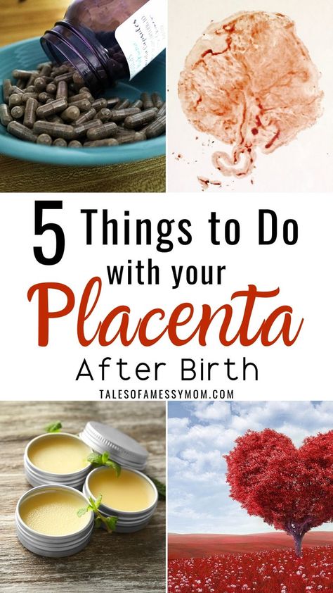 Water Birth Benefits, Placenta Art Diy, Diy Placenta Encapsulation, Placenta Art Ideas, Placenta Smoothie Recipe, Placenta Photography, Placenta Smoothie, Placenta Tincture, Placenta Benefits