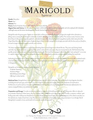 Magical and Medicinal Uses of Marigold. Includes FREE BOS page! Sacred Flower, Marsh Marigold, Prophetic Dreams, Protection Magic, Weary Soul, Magickal Herbs, Witch Herbs, The Aztecs, Magic Herbs