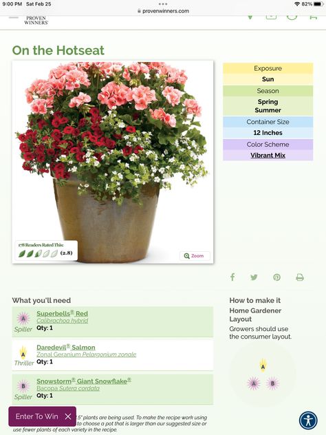 Deck Plants, Mary Garden, Flower Combinations, Front Porch Flowers, Flower Garden Plans, Plant Containers, Patio Flowers, Easy Gardening, Porch Flowers