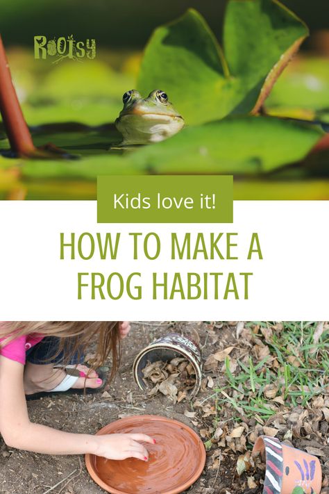 Diy Toad House How To Make, Outdoor Frog House, Toad Pond Diy, Frog Houses Diy, Frog Sanctuary Diy, Tree Frog Habitat Outdoor, Toad Homes Garden Ideas, Frog House Diy How To Make, Frog Pond Diy