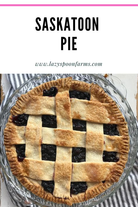 Best Saskatoon Pie, Saskatoon Pie Recipe, Saskatoon Berry Recipes Pie Fillings, Saskatoon Berry Pie Recipe, Saskatoon Pie From Frozen Berries, Saskatoon Berry Pie Filling, Juneberry Pie, Saskatoon Pie Filling, Saskatoon Berry Recipes