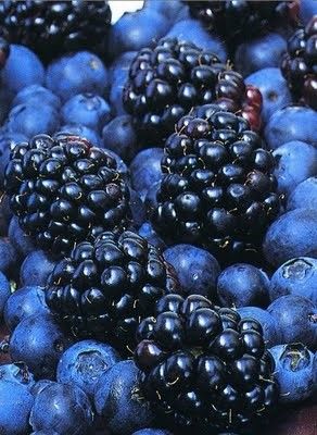 Blue Berries, Blue Photography, Blue Fruits, Izu, Fruit And Veg, Coffee Cake, Fruits And Veggies, Blueberries, Fashion Designers