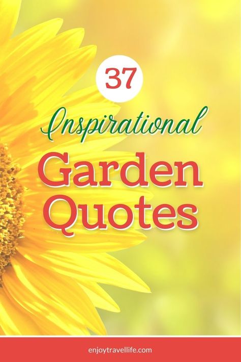 Garden Inspiration Quotes, Garden Love Quotes, Quotes About Flowers Inspirational, Quotes On Gardening, In The Garden Quotes, My Garden Quotes, Garden Quotes Inspirational Short, Garden Quotes Inspirational, Garden Signs And Sayings