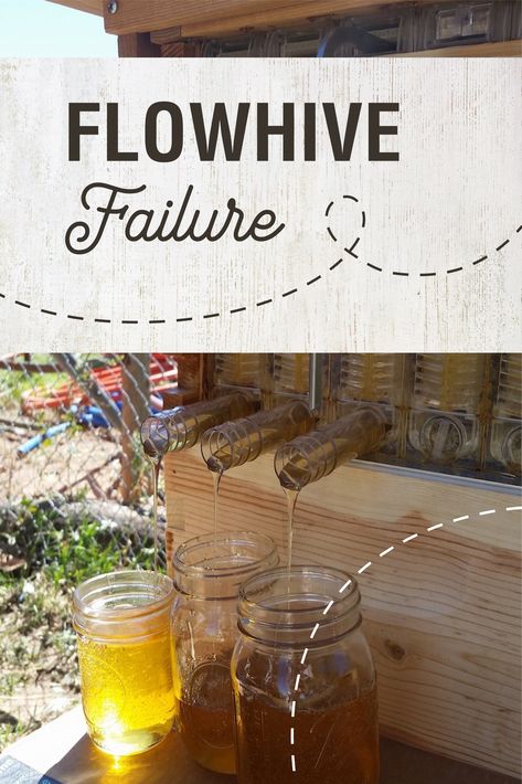 Flow Hive Painting Ideas, Flow Hive Paint, Flow Hive Plans, Warre Hive, Warre Bee Hive, Harvesting Honey, Honey Extractor, Warre Bee Hive Plans, Flow Hive