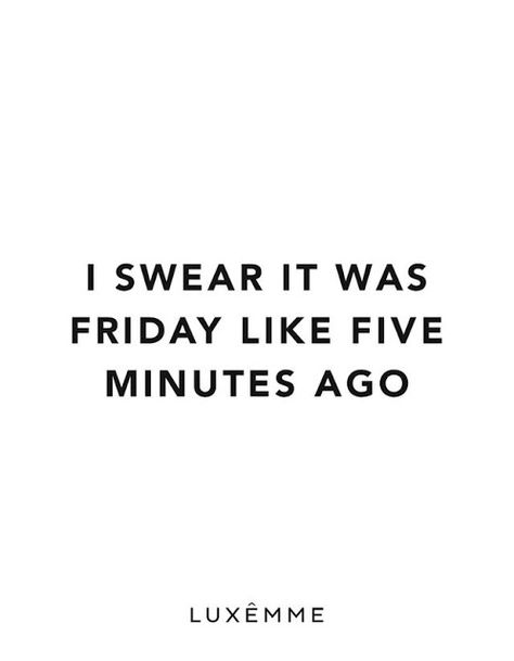 Monday? Fun Weekend Quotes, Monday Humor Quotes, Sunday Quotes Funny, Snarky Quotes, Friday Quotes Funny, Weekday Quotes, Monday Humor, Weekend Quotes, Monday Quotes