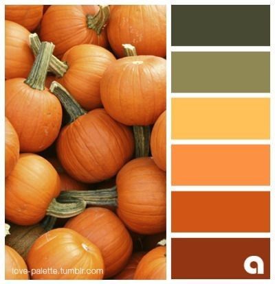 Mexico Decor, Halloween Color Palette, Fall Color Schemes, Orange Color Palettes, Color Schemes Colour Palettes, Fall Color Palette, Pumpkin Colors, Color Palate, Design Seeds