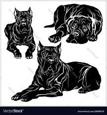 Cane Corso, Free Vector Images, Png Images, Black Color, Print On Demand, White Background, Vector Images, Vector Free, Royalty