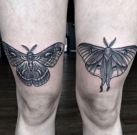 Cecropia moth and Luna moth above the knees! - by Kyle Patrick at Seventh Sin Tattoo, in Charlotte NC Moth Tattoo Above Knee, Tattoo On Knee, Tattoo Above Knee, Luna Moth Tattoo, Cecropia Moth, Moth Tattoo Design, Tattoo Shading, Bug Tattoo, Insect Tattoo