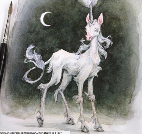 Unicorn Watercolor, Lady Cat, Unicorn Art, Norman Rockwell, Green Gables, Horse Art, Funky Art, Creature Design, Creature Art