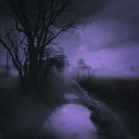 Purple fog road #purple #trees #forest #magic #surreal #dark #darkness #darkart #darknature #trees_of_darkness_ #souls_hunters… Purple Autumn, Forest Magic, Night Street, Dark Purple Aesthetic, Mazzy Star, Trees Forest, Pagan Witch, Purple Trees, Night Forest