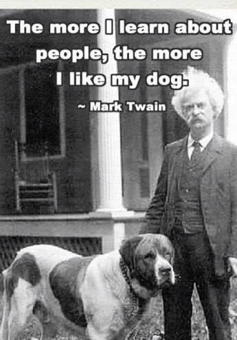 "The more I learn about people, the more I like my dog." Mark Twain quote about people #quotes #people #dogs #pets Board Sayings, Pet Quotes, Livestock Guardian, Mark Twain Quotes, I Like Dogs, Senior Quotes, Love My Dog, Cash Money, Big Dog