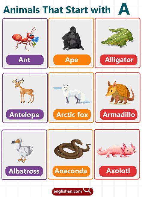 Animals That Start with A Picture Vocabulary, Vocabulary Building, Mythical Creatures, Vocabulary, For Kids, Building, Animals, Quick Saves