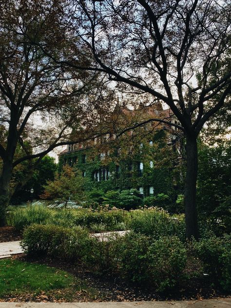 Uchicago Dorm, University Of Chicago Aesthetic, University Of Chicago, Journalism Major, Academic Aesthetic, Chicago Aesthetic, Chicago University, University Dorms, The University Of Chicago