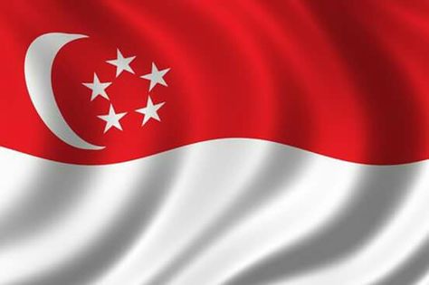 Saudi Flag, Singapore Island, Singapore Flag, 51st Birthday, 51 Birthday, Happy National Day, Knowledge Test, Design Home App, Visit Singapore