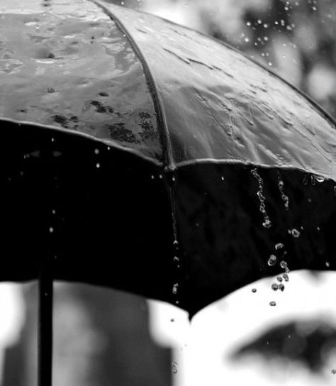 ACHILLES Its Raining Its Pouring, I Love Rain, Black Umbrella, Going To Rain, Love Rain, Rain Umbrella, Under My Umbrella, Black And White Photograph, Singing In The Rain