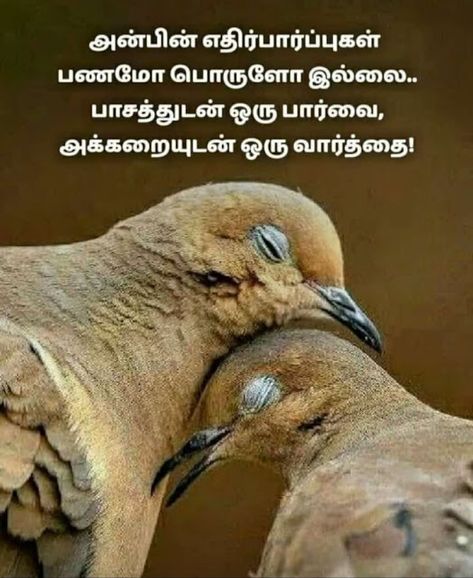 Life quotes Inspirational Quotes For Husband, Love Definition, Motivationa Quotes, Situation Quotes, Tamil Kavithaigal, Quotes In Tamil, Tamil Love Quotes, Tamil Motivational Quotes, Quotes About Strength And Love