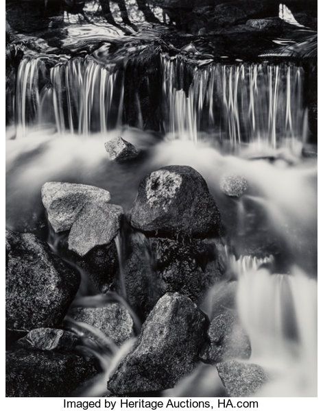 Photographs:Gelatin Silver, John Sexton (American, b. 1953). Fern Spring, Yosemite Valley,California, 1973. Gelatin silver, 1984 John Sexton Photography, Elton John Black And White Photography, Rome Catacombs, Bird Mom, Merced River, The Catacombs, Fern, Victoria Falls, Corporate Headshots