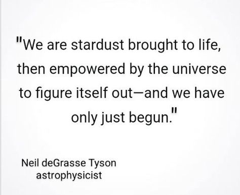 "We are stardust brought to life..." –a quote from Neil deGrasse Tyson, astrophysicist Neil Armstrong Quotes, Astrophysics Quotes, Astronomy Quotes Universe, Reincarnation Quotes, Stardust Quotes, Neil Degrasse Tyson Quote, Tyson Quotes, Hobo Symbols, Astronomy Quotes