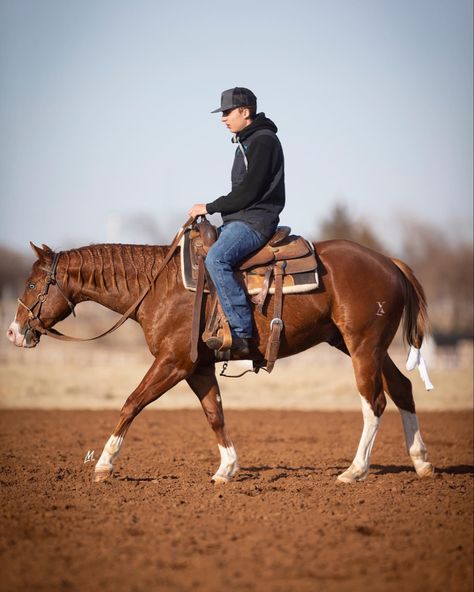 Reigning Horses, Western Pleasure Riding, Quater Horses, Horse Disciplines, Western Horse Riding, Working Cow Horse, Aqha Horses, Ranch Riding, Western Horses