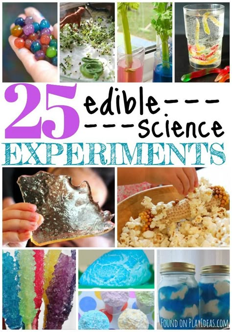 25 Edible Science Experiments For Kids Edible Science Experiments For Kids, Edible Science Experiments, Food Science Experiments, Edible Science, Kitchen Science Experiments, Science Experience, Kitchen Science, Science Experiments For Kids, Biscuits Graham