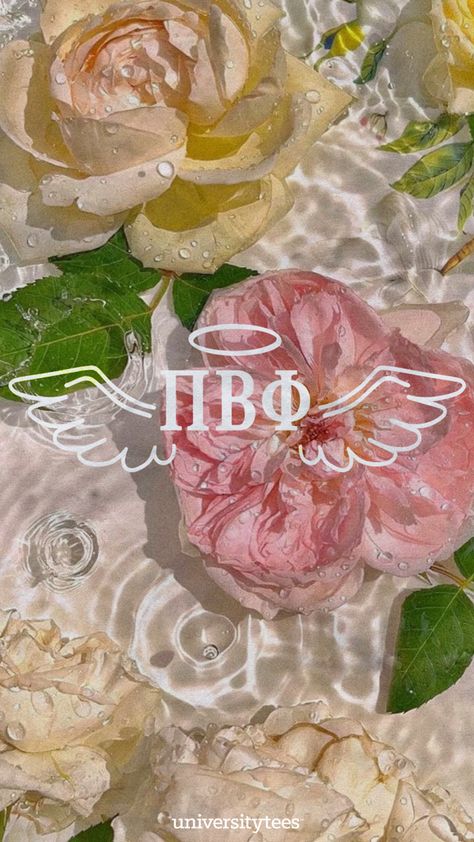 Pi Beta Phi Merch, Pi Beta Phi Wallpaper, Sorority Shirt, Founders Day, Pi Phi, Pi Beta Phi, Sorority Shirts, Big Little, Sorority