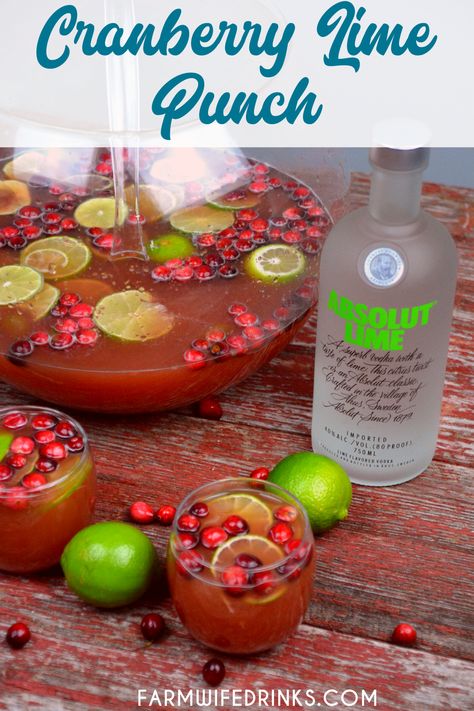 Spiked Punch Recipes, Jungle Juice Recipe, Vodka Punch, Christmas Drinks Alcohol Recipes, Cranberry Punch, Cranberry Christmas, Lime Punch, Cranberry Vodka, Christmas Punch Recipes