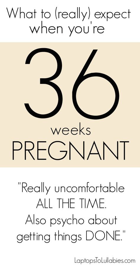 What to REALLY expect when you're 36 weeks pregnant. #pregnancy #week37 36 Weeks Pregnant Quotes, Second Trimester Pregnancy, Baby Development In Womb, Pregnant Funny, Baby Development Chart, Pregnancy Weeks, Baby Development Milestones, 40 Weeks Pregnant, 24 Weeks Pregnant