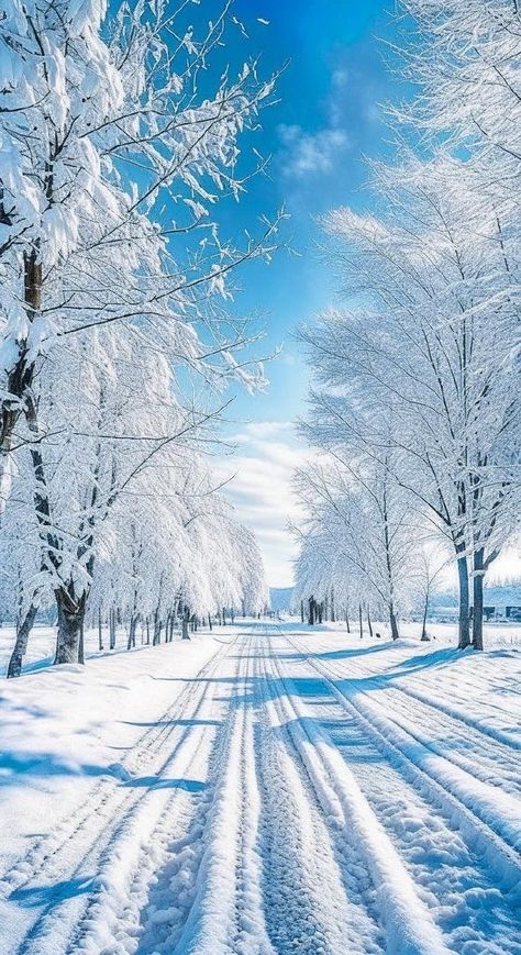 Snowy Wallpaper Iphone, Christmas Landscape Photography, Beautiful Winter Pictures, August Wallpaper, Winter Landscape Photography, Wallpaper 2024, Beautiful Winter Scenes, Snowy Landscape, Winter Nature