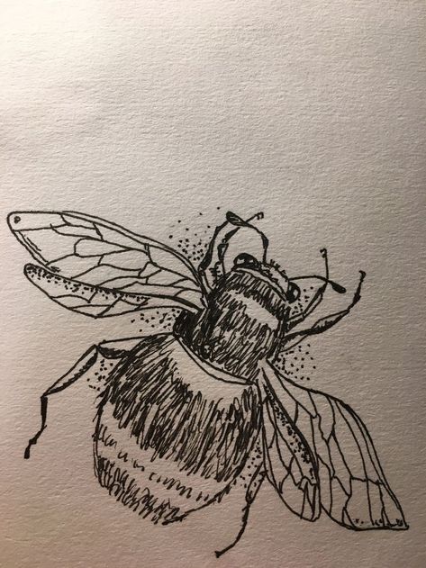 Scetchbook Draws Ideas, Insect Sketch, Beetle Drawing, Drawing Concepts, Sketchbook Inspo, Animal Drawings Sketches, Pen Art Drawings, Goblin Core, Fantasy Drawings